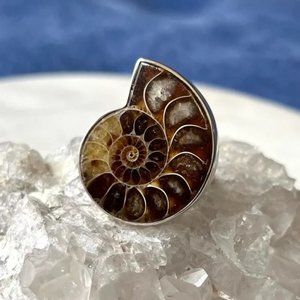 Vintage Artisan Arya Ammonite Sterling Silver Ring
